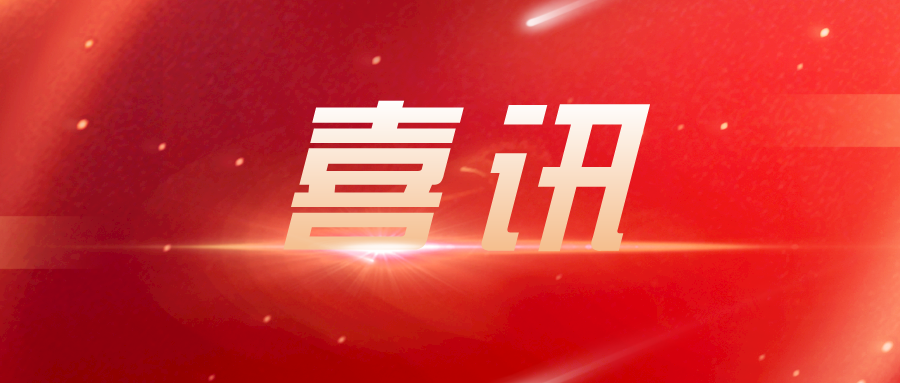 喜讯 | 我校董事长兼校长陈强博士被湖南省审计厅聘为特约审计员